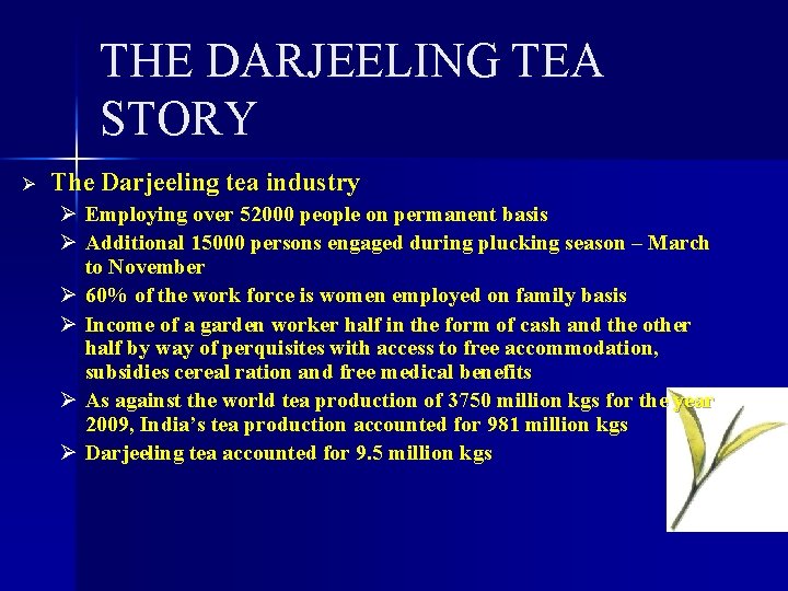 THE DARJEELING TEA STORY Ø The Darjeeling tea industry Ø Employing over 52000 people