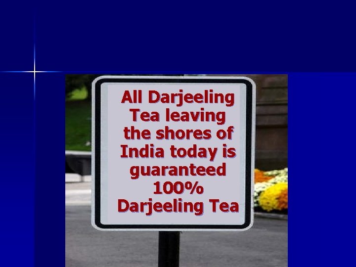 All Darjeeling Tea leaving the shores of India today is guaranteed 100% Darjeeling Tea