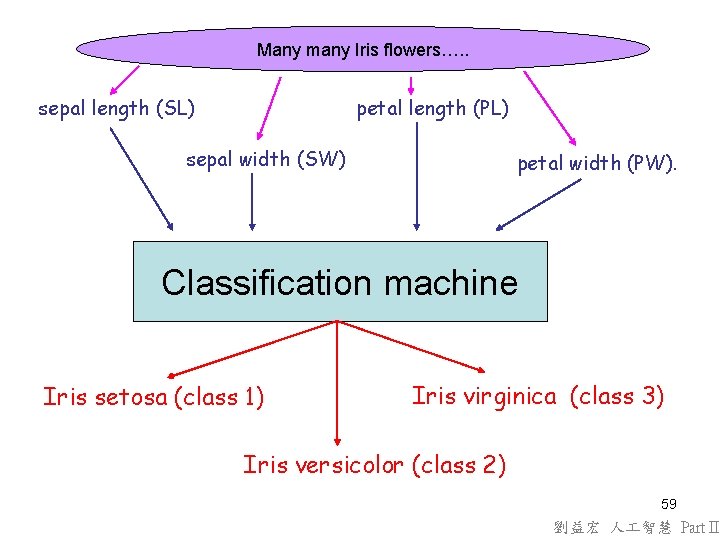 Many many Iris flowers…. . sepal length (SL) petal length (PL) sepal width (SW) Many many Iris flowers…. . sepal length (SL) petal length (PL) sepal width (SW)