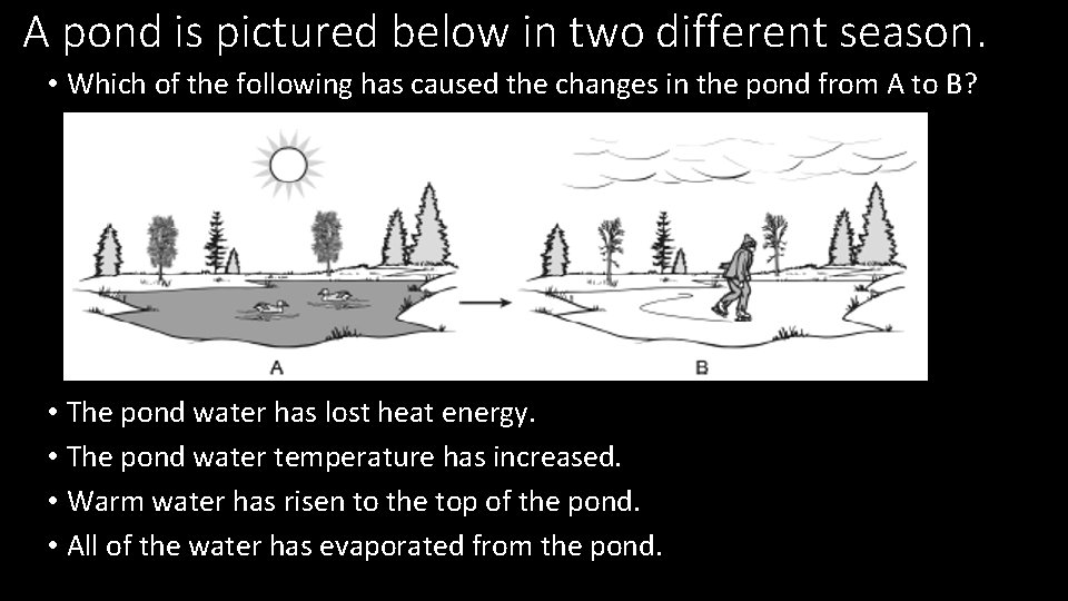 A pond is pictured below in two different season. • Which of the following