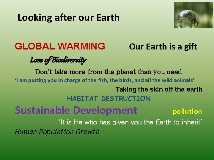 Looking after our Earth GLOBAL WARMING Our Earth is a gift Loss of Biodiversity