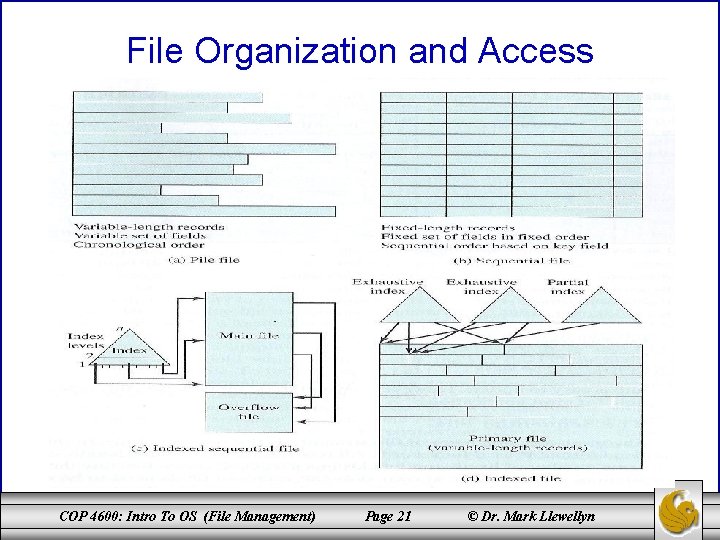 File Organization and Access COP 4600: Intro To OS (File Management) Page 21 ©