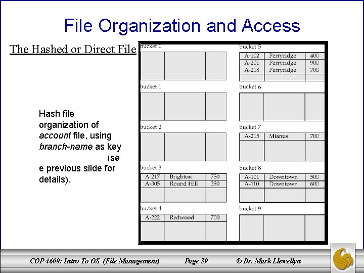 File Organization and Access The Hashed or Direct File Hash file organization of account