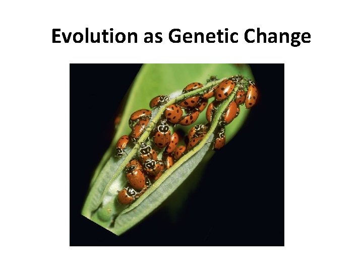 Evolution as Genetic Change 