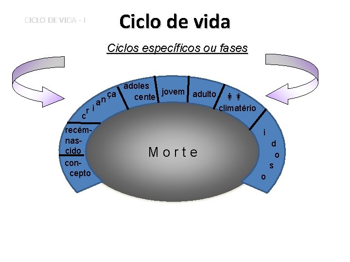 CICLO DE VIDA - I Ciclo de vida Ciclos específicos ou fases r i