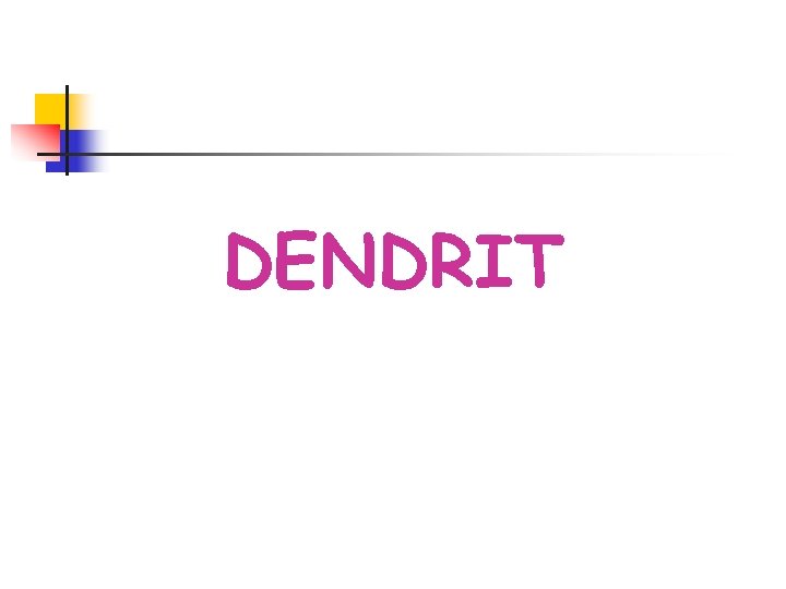 DENDRIT 