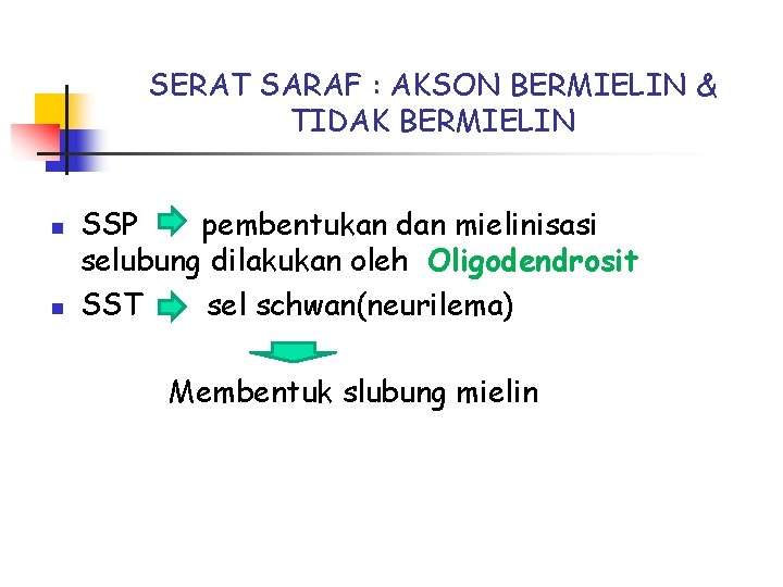 SERAT SARAF : AKSON BERMIELIN & TIDAK BERMIELIN n n SSP pembentukan dan mielinisasi