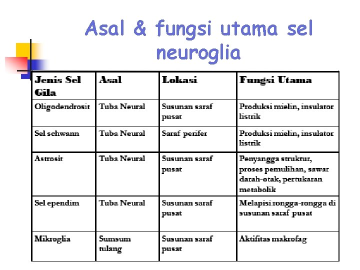 Asal & fungsi utama sel neuroglia 