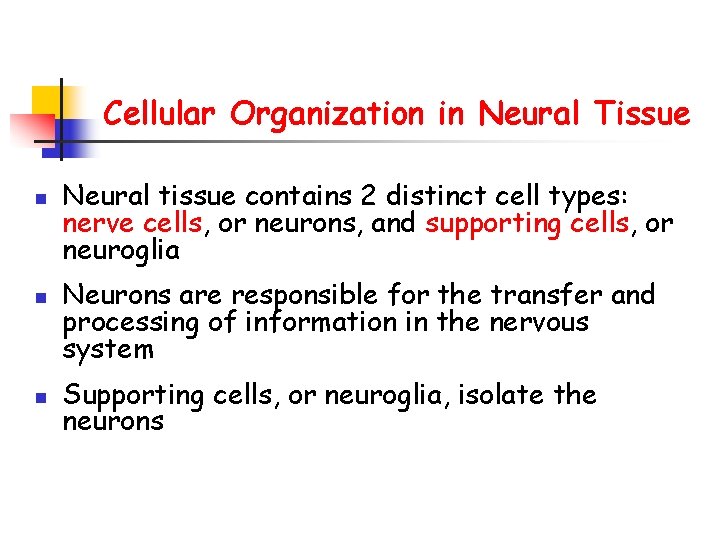 Cellular Organization in Neural Tissue n n n Neural tissue contains 2 distinct cell