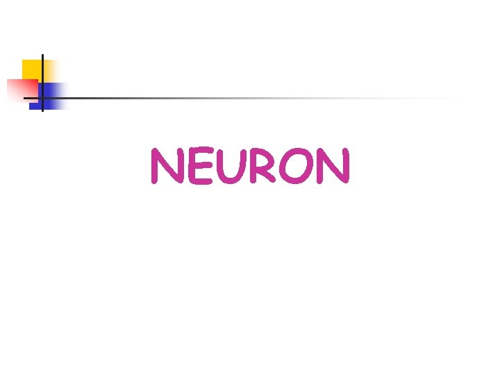 NEURON 