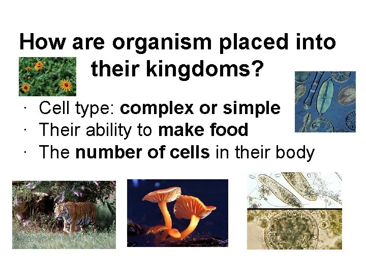 How are organism placed into their kingdoms? · Cell type: complex or simple ·