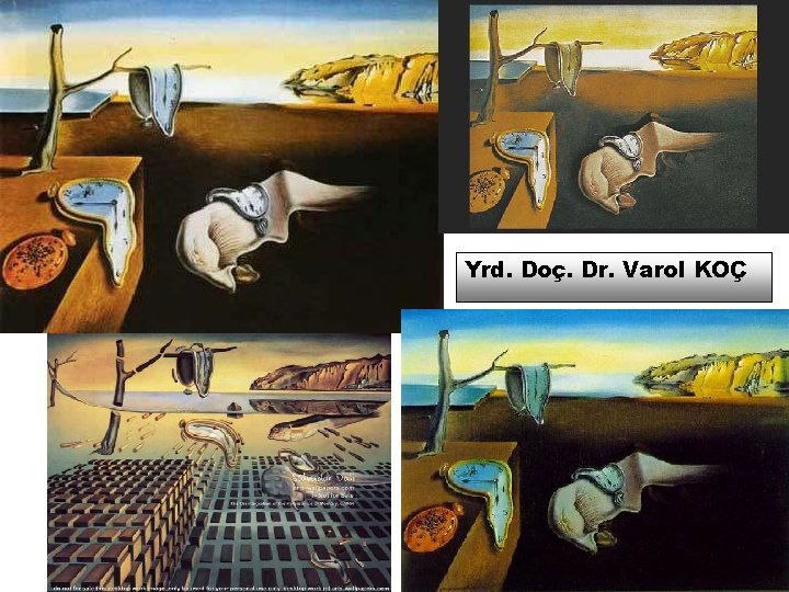 Yrd. Doç. Dr. Varol KOÇ 