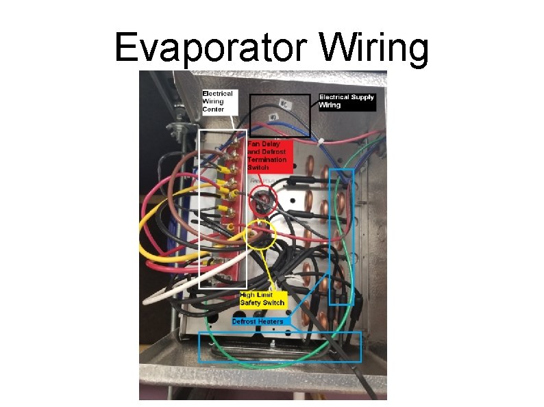 Evaporator Wiring 