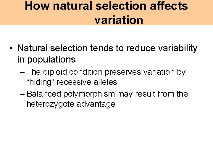How natural selection affects variation • Natural selection tends to reduce variability in populations