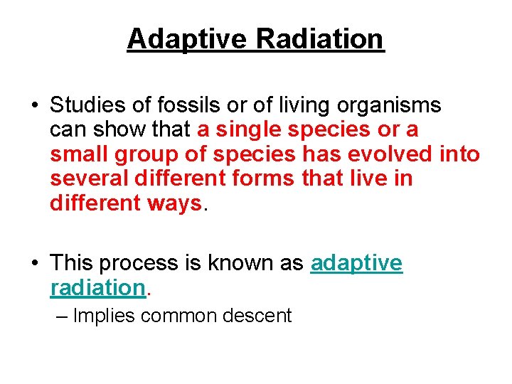 Adaptive Radiation • Studies of fossils or of living organisms can show that a
