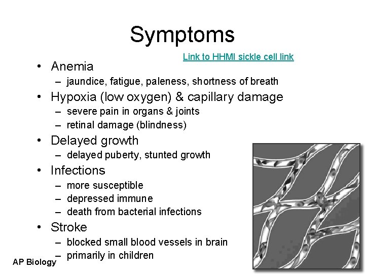 Symptoms • Anemia Link to HHMI sickle cell link – jaundice, fatigue, paleness, shortness