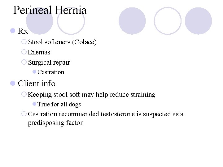 Perineal Hernia l Rx ¡ Stool softeners (Colace) ¡ Enemas ¡ Surgical repair l