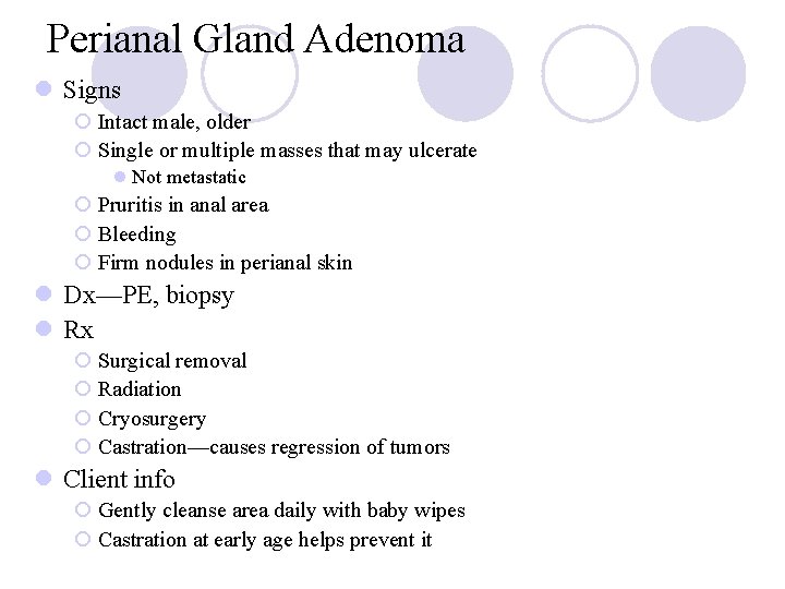 Perianal Gland Adenoma l Signs ¡ Intact male, older ¡ Single or multiple masses
