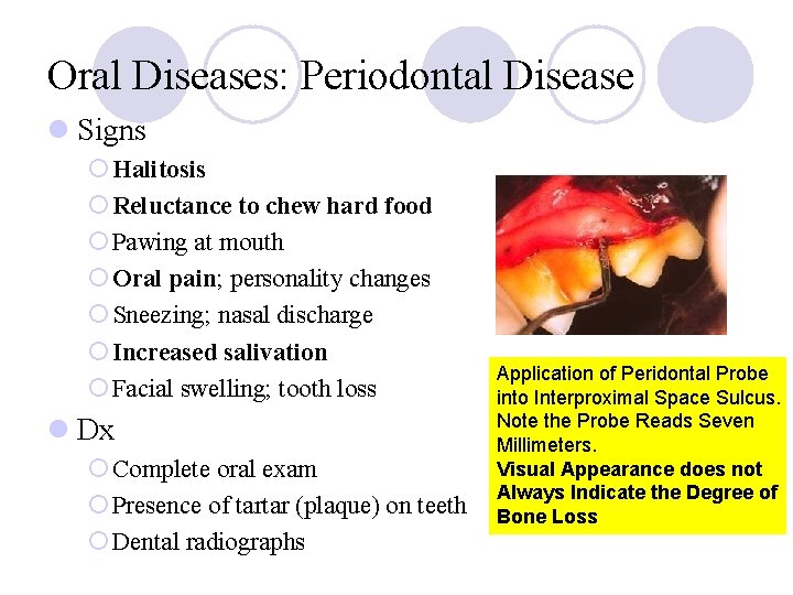 Oral Diseases: Periodontal Disease l Signs ¡ Halitosis ¡ Reluctance to chew hard food