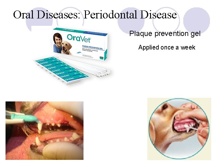 Oral Diseases: Periodontal Disease Plaque prevention gel Applied once a week 