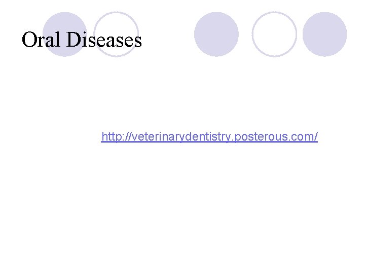 Oral Diseases http: //veterinarydentistry. posterous. com/ 