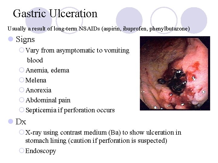 Gastric Ulceration Usually a result of long-term NSAIDs (aspirin, ibuprofen, phenylbutazone) l Signs ¡