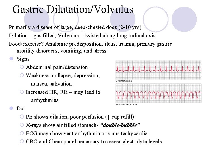Gastric Dilatation/Volvulus Primarily a disease of large, deep-chested dogs (2 -10 yrs) Dilation—gas filled;