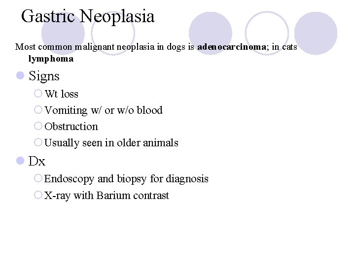 Gastric Neoplasia Most common malignant neoplasia in dogs is adenocarcinoma; in cats lymphoma l