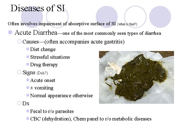 Diseases of SI Often involves impairment of absorptive surface of SI (what is that?