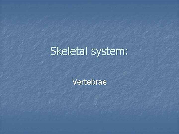 Skeletal system: Vertebrae 
