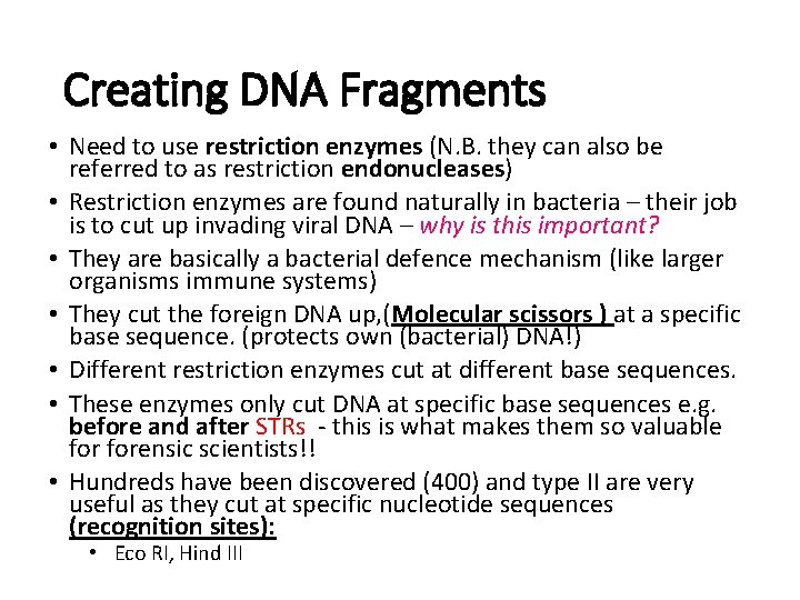 Creating DNA Fragments • Need to use restriction enzymes (N. B. they can also
