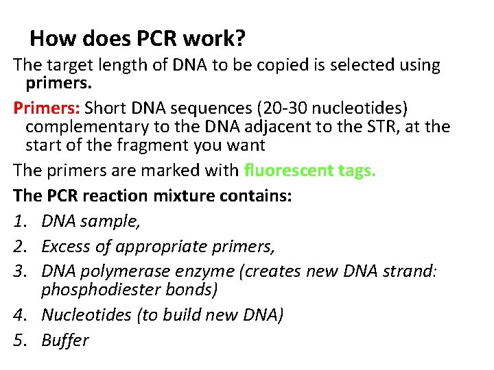 How does PCR work? The target length of DNA to be copied is selected