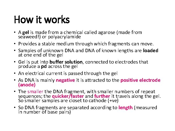 How it works • A gel is made from a chemical called agarose (made