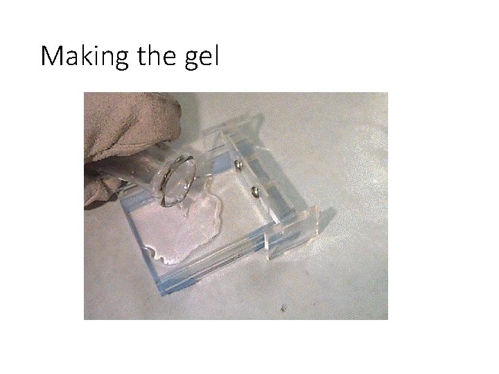 Making the gel 