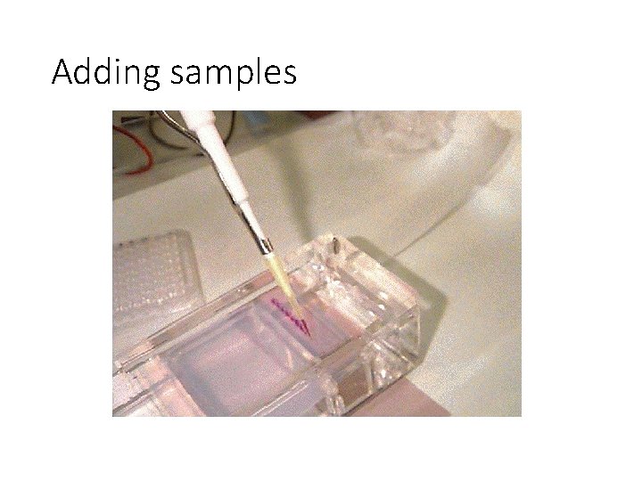 Adding samples 