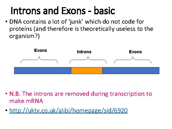 Introns and Exons - basic • DNA contains a lot of ‘junk’ which do