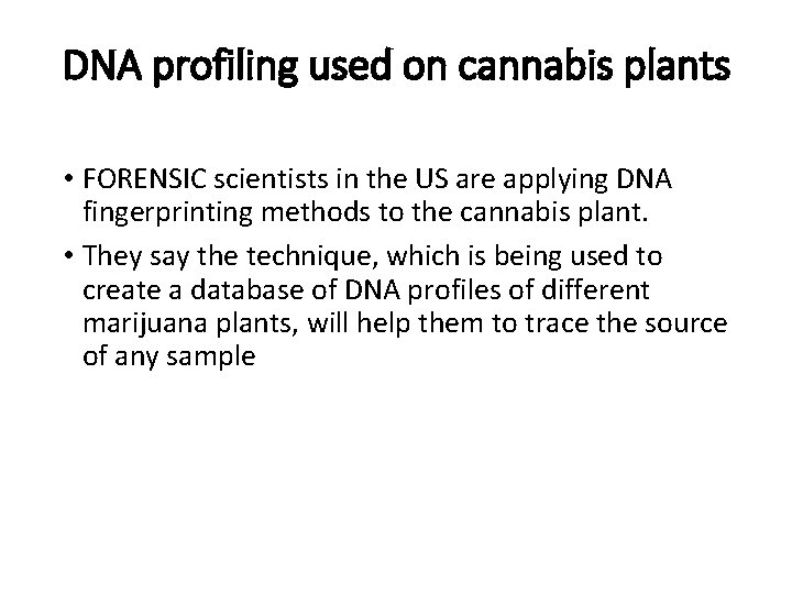 DNA profiling used on cannabis plants • FORENSIC scientists in the US are applying