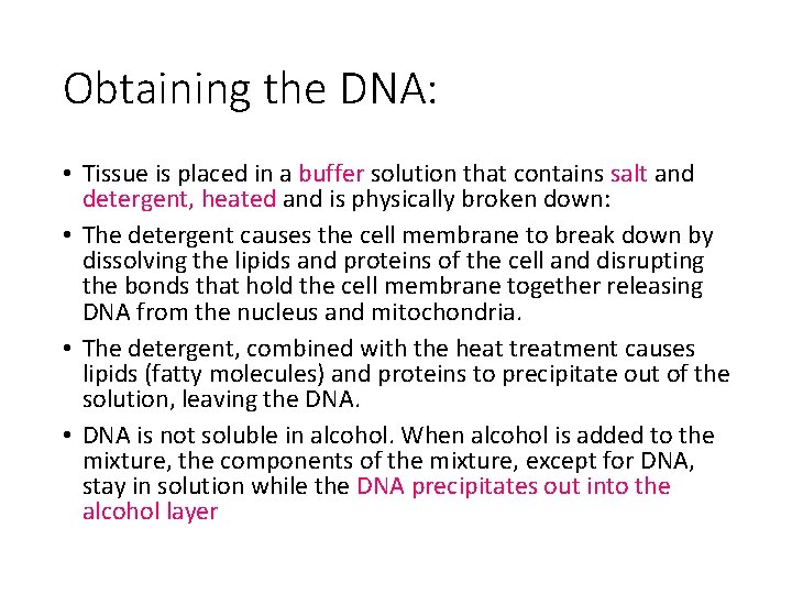 Obtaining the DNA: • Tissue is placed in a buffer solution that contains salt