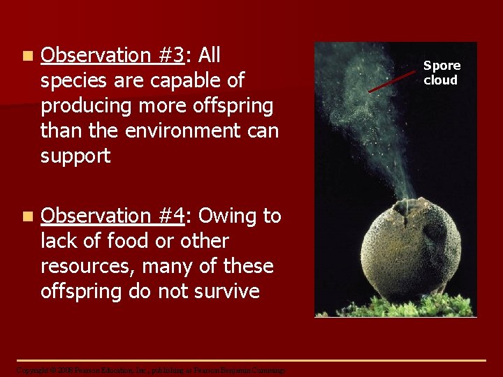 n Observation #3: All species are capable of producing more offspring than the environment