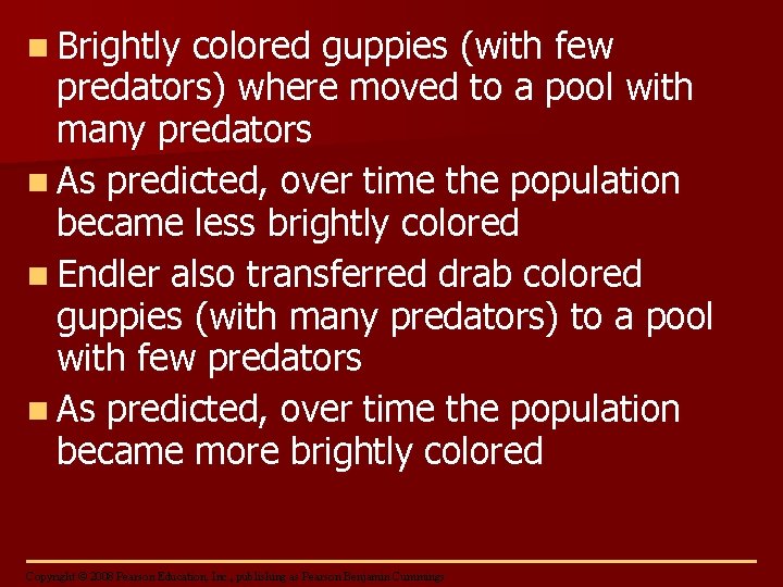 n Brightly colored guppies (with few predators) where moved to a pool with many