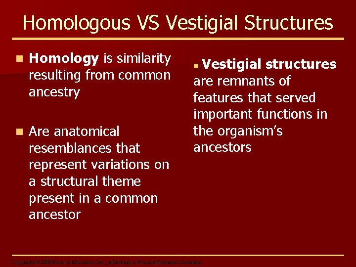Homologous VS Vestigial Structures n Homology is similarity resulting from common ancestry n Are