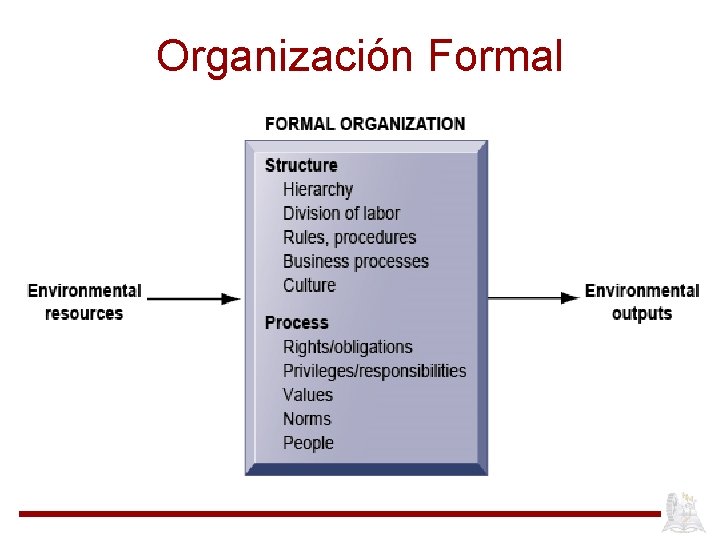 Organización Formal 