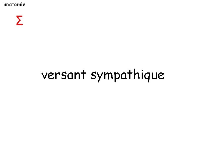 anatomie Σ versant sympathique 