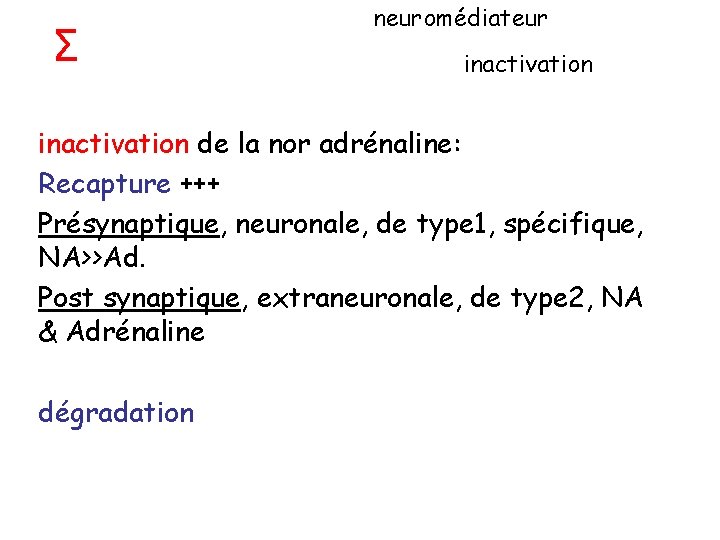 Σ neuromédiateur inactivation de la nor adrénaline: Recapture +++ Présynaptique, neuronale, de type 1,