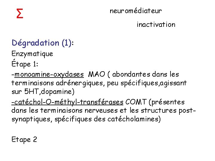 Σ neuromédiateur inactivation Dégradation (1): Enzymatique Étape 1: -monoamine-oxydases MAO ( abondantes dans les