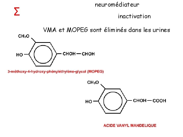 Σ neuromédiateur inactivation VMA et MOPEG sont éliminés dans les urines 