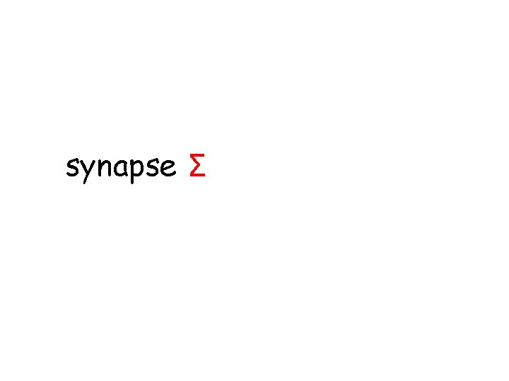 synapse Σ 