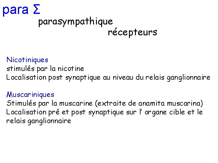 para Σ parasympathique récepteurs Nicotiniques stimulés par la nicotine Localisation post synaptique au niveau para Σ parasympathique récepteurs Nicotiniques stimulés par la nicotine Localisation post synaptique au niveau