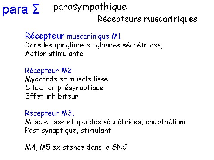 para Σ parasympathique Récepteurs muscariniques Récepteur muscarinique M 1 Dans les ganglions et glandes