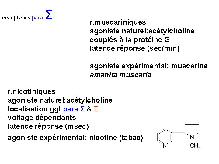 récepteurs para Σ r. muscariniques agoniste naturel: acétylcholine couplés à la protéine G latence récepteurs para Σ r. muscariniques agoniste naturel: acétylcholine couplés à la protéine G latence